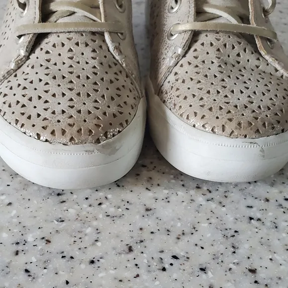 Sperry