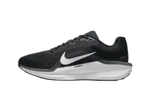 WMNS NIKE AIR WINFLO 11